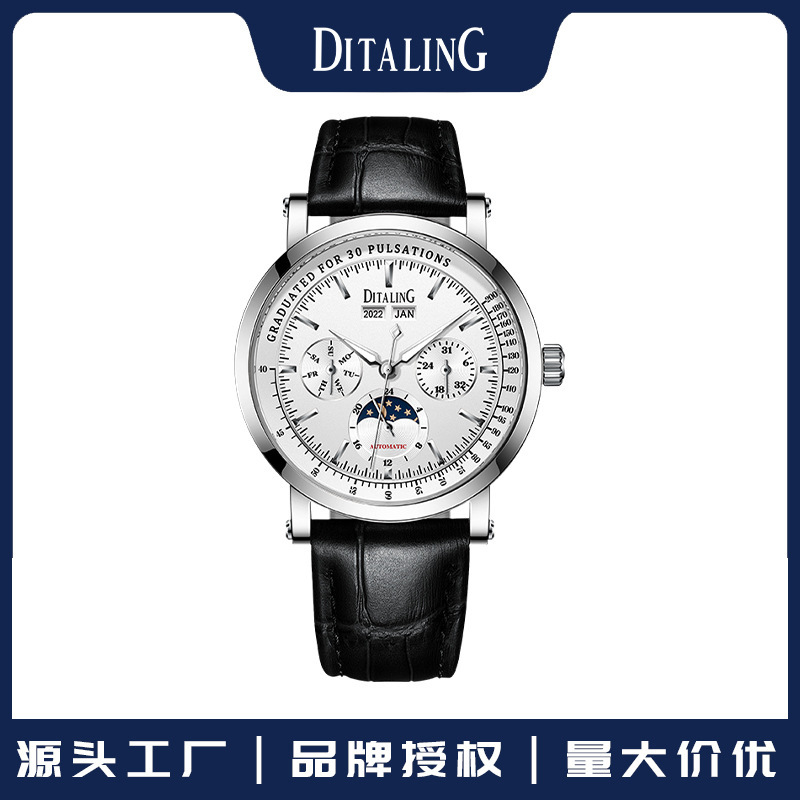 Ditaling Brand Watch Men's Personalized Waterproof Business Retro Luminous Fully Automatic Mechanical Watch Cross-Border Supply