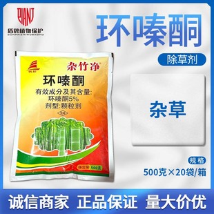 �s��� 5%�h�ͪ ���݄��hຆLɭ�ַ�������s�ݭh���~�w�����rș