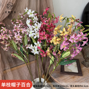 ��Ʒ��֦ñ�Ӱٺϲ����b�ˇ�[���ɻ���Y���ŔzӰ�������컨