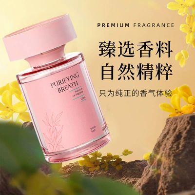 Car Odor Removal Fragrance — Car Perfume Aromatherapy
