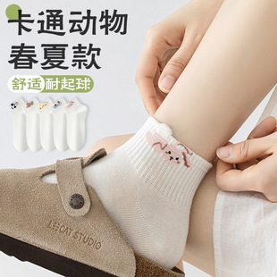 �m��Ů�޶��m�ļ�����Ůʿ��Ͳ�m2026�¿����������ɐۿ�ͨ