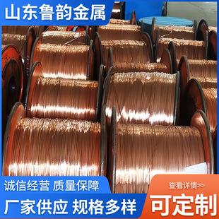 Railway through Grounding Wire Copper Alloy Sheathed through Grounding Wire S-Dh35 S-Dh70 through Grounding Wire Manufacturer