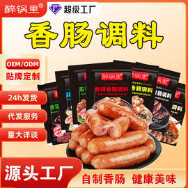 香肠料家用自制灌香肠调料腊肠烤肠风干肠配料五香咸肉调味料