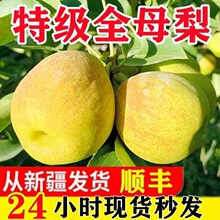 ɳ�����½��젖������ˮ�����r����ȫĸ����ѩ���������һ�����l