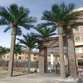 厂家直销仿真海枣树室外阻燃中东海藻树造景人造防紫外线大树厂家