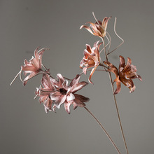 LF7450ľ޻EVAָв| 滨Gֲ ͏dܛbҾӔ[O zӰ