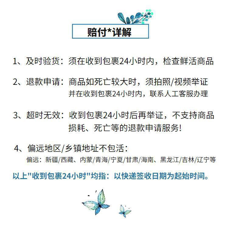 一键上货_20241007174736