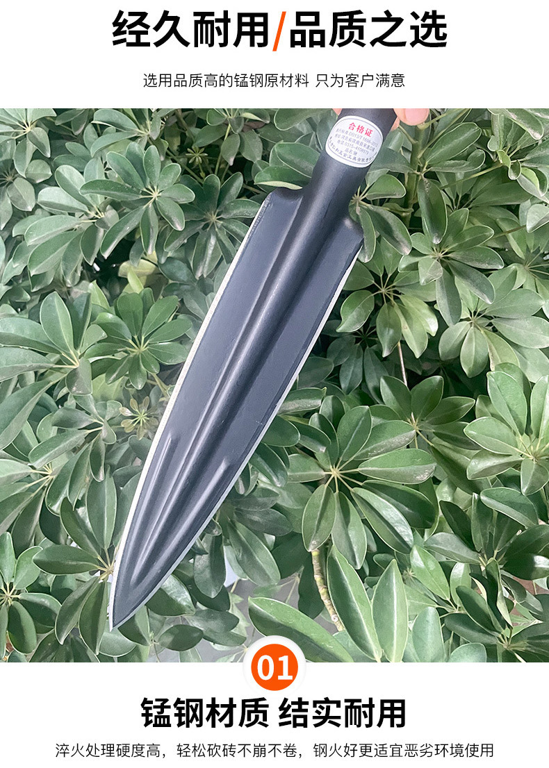 57190c5e-bde7-415e-943b-1fbd326eaa6d.jpe