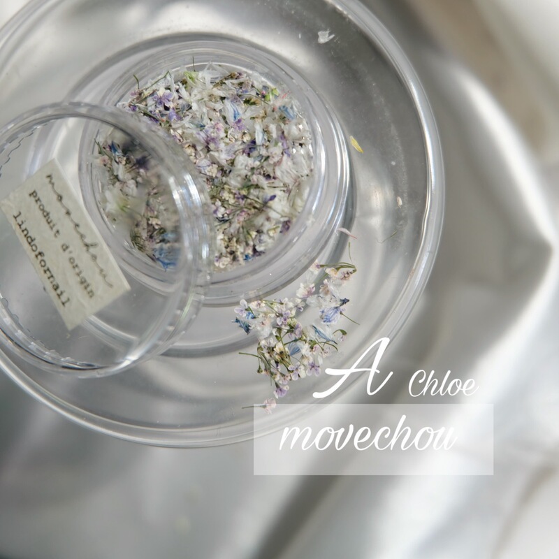 2022 Japanese and Korean New Explosions Nail Art Japanese Jewelry ins Same Style Dried Flower Multicolor Mixed Morandi Color