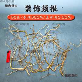 造景木枝杜鹃根枝条摆件景树根巴西树枝生命之树洞景观缸用麦太保