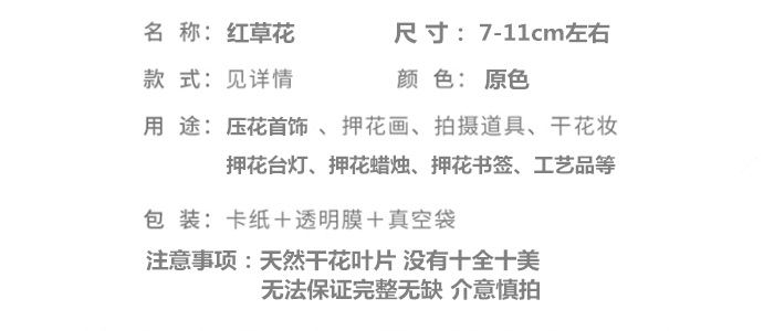 红草花.png