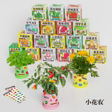 小花农种植网红盆栽咕卡种植盆栽小学生幼儿园观察创意玩具批发