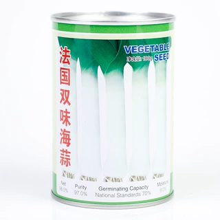 法国双味海蒜蒜苗韭葱种子青蒜洋蒜苗洋大蒜四季高产菜籽蔬菜菜蒜
