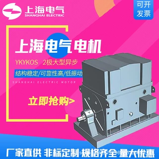 上海电气集团上海电机厂电动机YKYKOS  2极大型异步电机900kW厂商