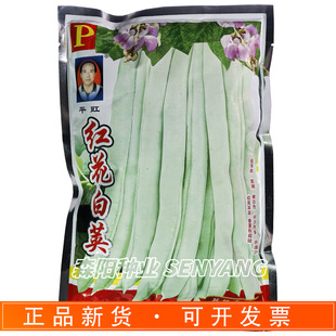 ƽ���t�����v�ܶ��N�ӘO�����۰�ɫ������ഺ�����ļ������۲˶�