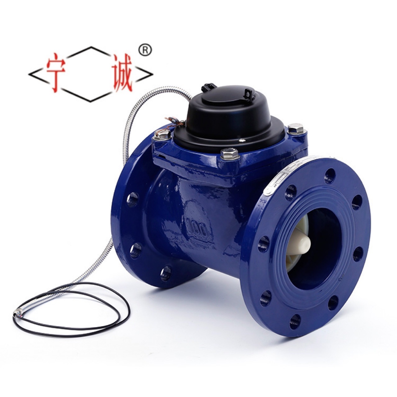 宁波大口径智能水表直饮水水控物联网远程