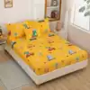 Dinosaur Secret Land New