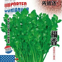 ���l������˷N���ļ��׷N�ˈ@����