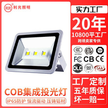 ledͶɱͥԺS܇g1000Wl