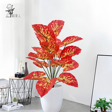 �羳��Ʒ�������Gֲ�y�y�����~�٘乤ˇƷֲ��Ҿ�ͥԺ�辰����