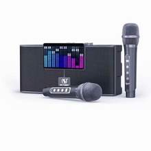 YS-208 AI消原音 DSP 低音炮 双无线 卡拉OK K歌音箱 家庭KTV