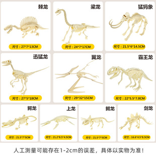 30cm Dinosaur Skeleton Archaeological Assembled Dinosaur Fossil Skeleton Tyrannosaurus Rex Sword Pterosaur Mammoth Beam Dragon Skeleton
