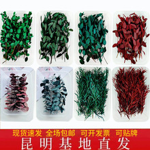 �������ȼ���ǧ�ӽ��ֹ�DIY���ϻ������~��Ϲ��Sֱ�N�r��