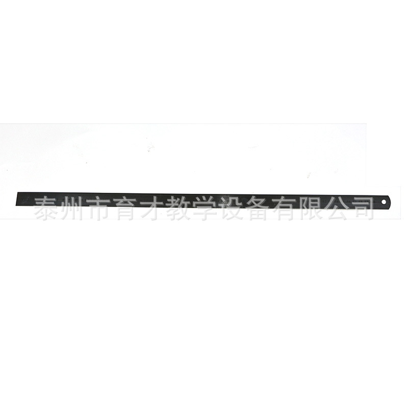 10004钢直尺600mm钢制尺子60cm小学科学学生实验仪器钢直尺