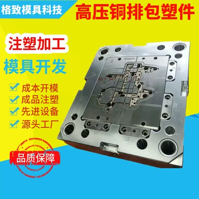 Customized High-Voltage Copper Busbar Plastic-Coated Parts Mold Customization, New Energy Vehicle Parts Injection Molding Processing