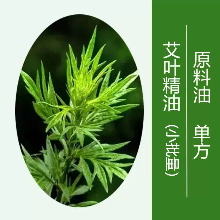 无勾兑艾叶精油单方精油批发理疗按摩精油原料艾草精油