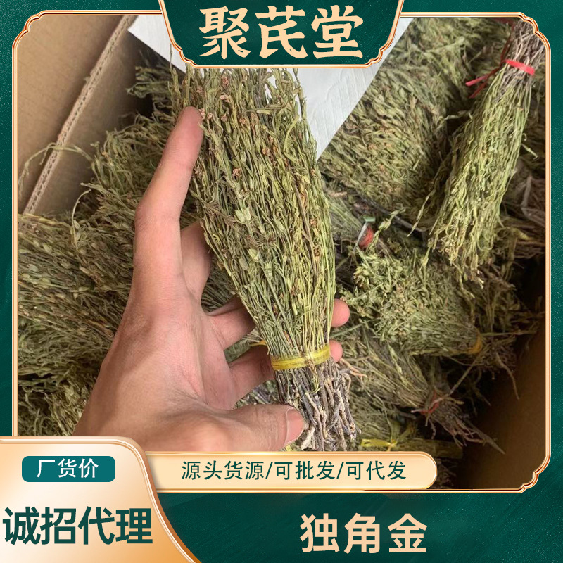 聚芪堂独角金产地货源新货疳积草500g装独脚柑广州清平市场独脚金