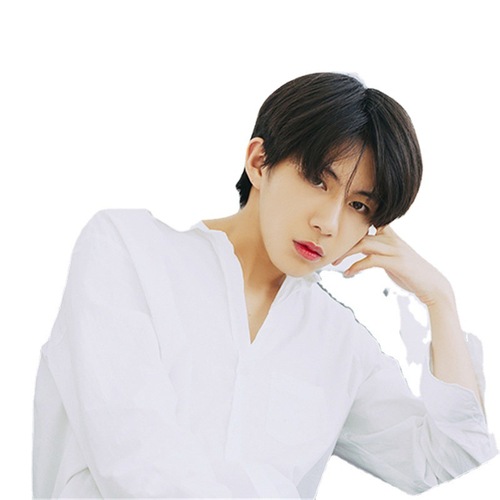 LAZADA Korean handsome female men's wig short straight hair middle parted bangs high temperature silk chemical fiber wig headgear