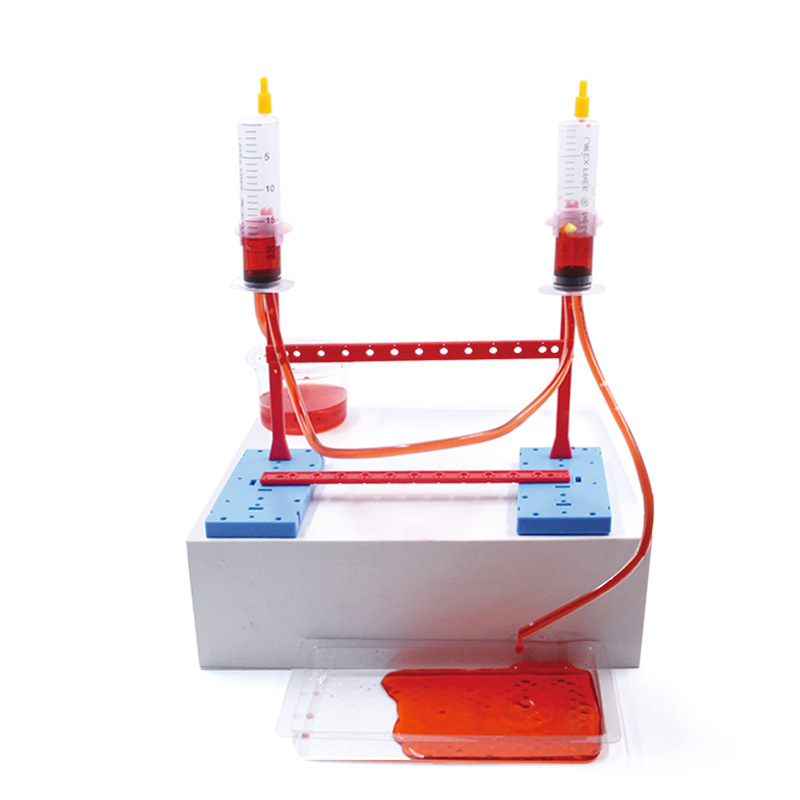 Ciencia pequeño experimento al por mayor vapor Escuela Primaria estudiante juguetes educativos ciencia y educación material hecho a mano paquete DIY Tecnología pequeña producción