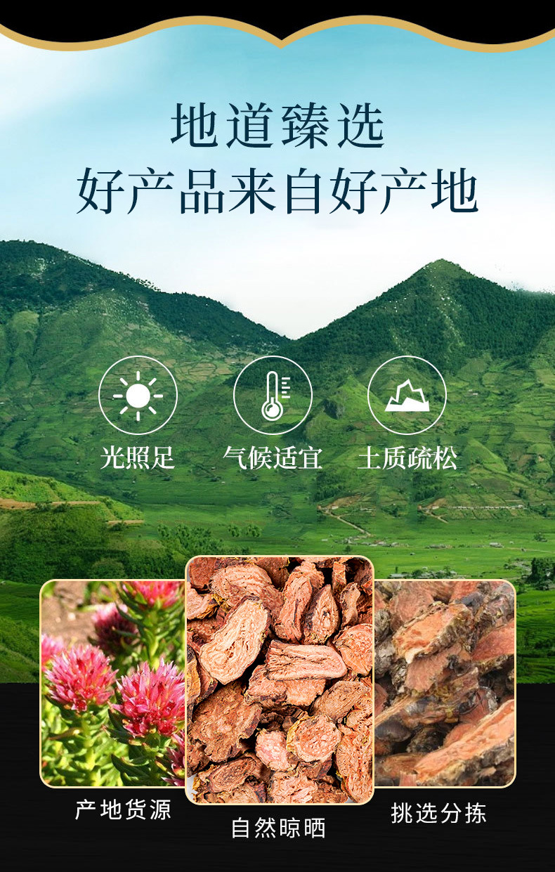 Rhodiola Root (Rhodiola crenulata) — Tibetan Dried Herb, Peeled, Large & Small Flower overview