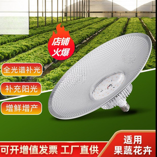 Full Spectrum D Plant Fill Light Vegetable Strawberry Seedling Indoor Succulent Plant Growth Light Plant Fill Light