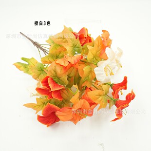���R�d�羳���滨�����＾��ţ���M�ϼҾӻ��@�b�������⻨�[��