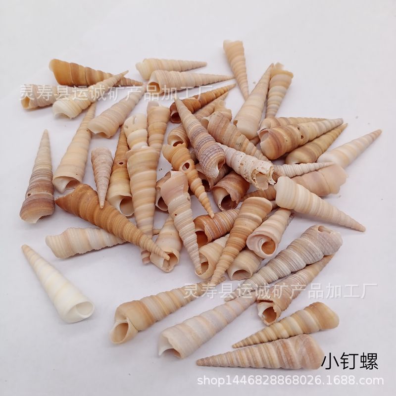 IMG_20210903_151839_副本