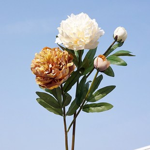 ���滨ĵ����ș�W��2�^�m͢ĵ���ٻ��ҾӔ[�Ż�c�zӰ�����b�