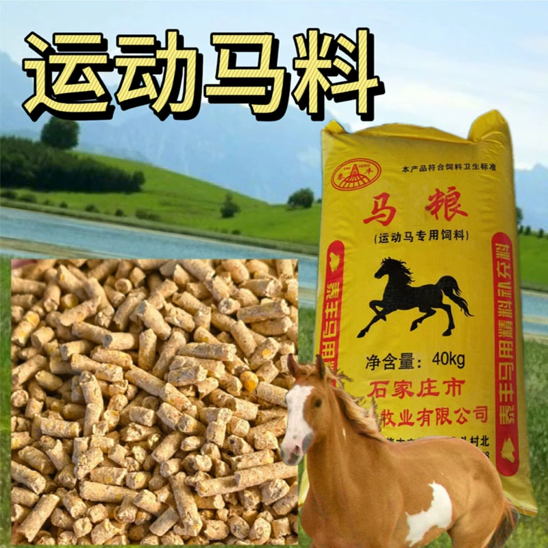 Лошадиный корм для лошадей Спортивный конный ипподром Материал для скачек