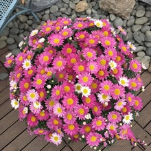 xյرջNСrջNļ_ԷN҃⻨N