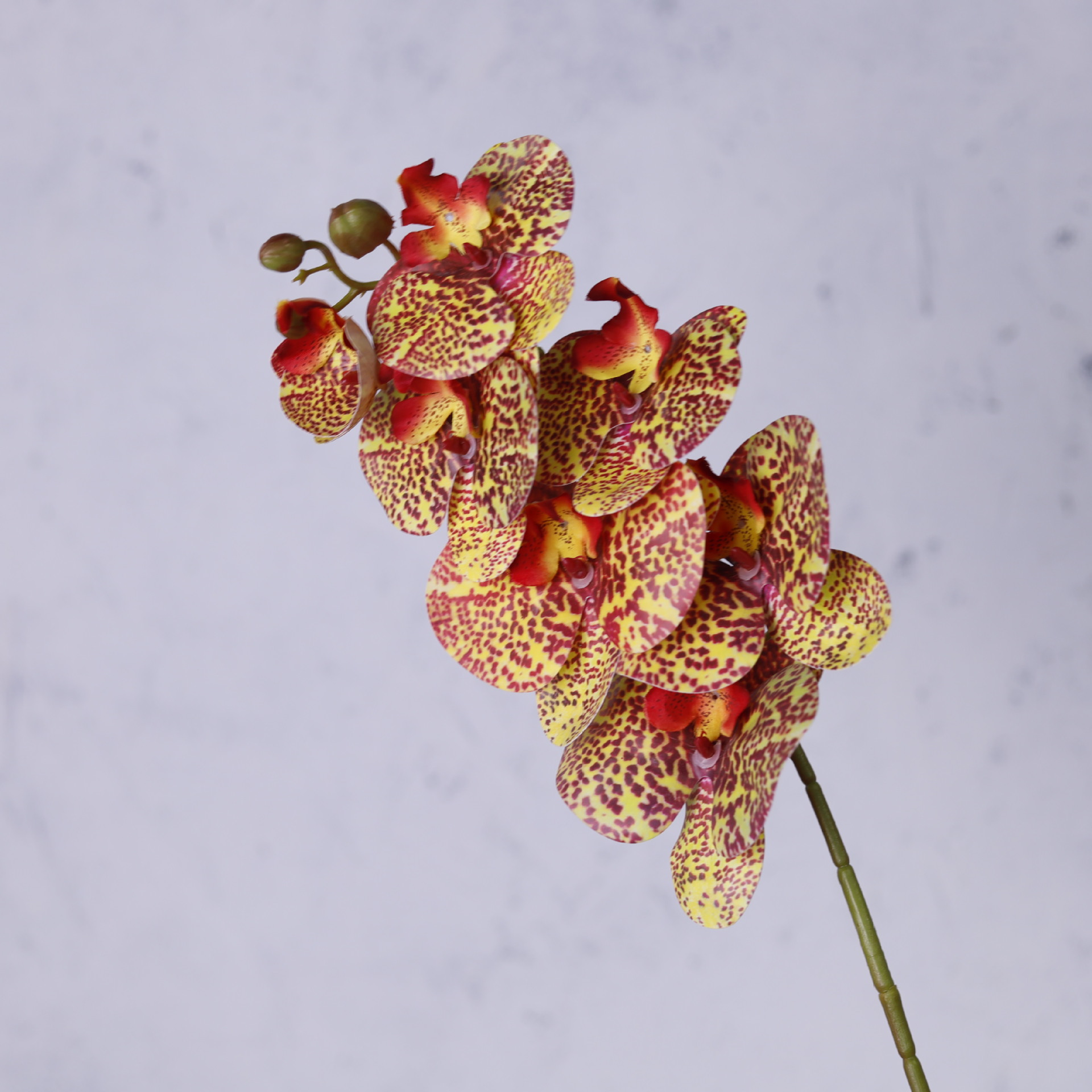 Impresión 3D de 7 cabezas de orquídeas mariposa flor de decoración de flores de alto nivel flor de nicho decoración floral decoración de sala de estar