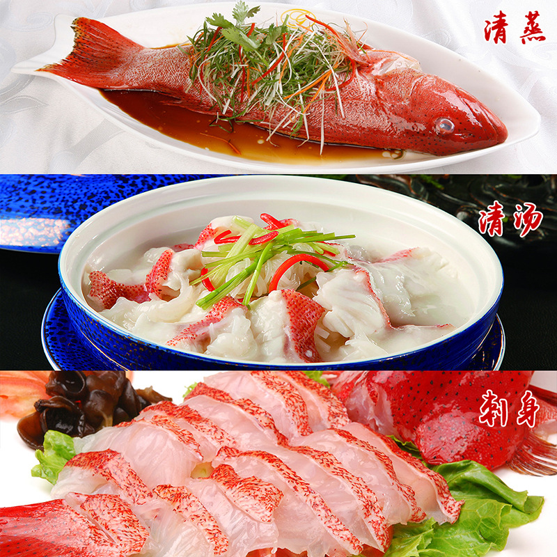 O1CN01kcxrHi26PaDLJqBfN_!!2209