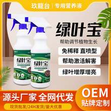 免稀释植物营养液生根液盆栽富贵竹绿叶移栽扦插绿植营养发根肥料