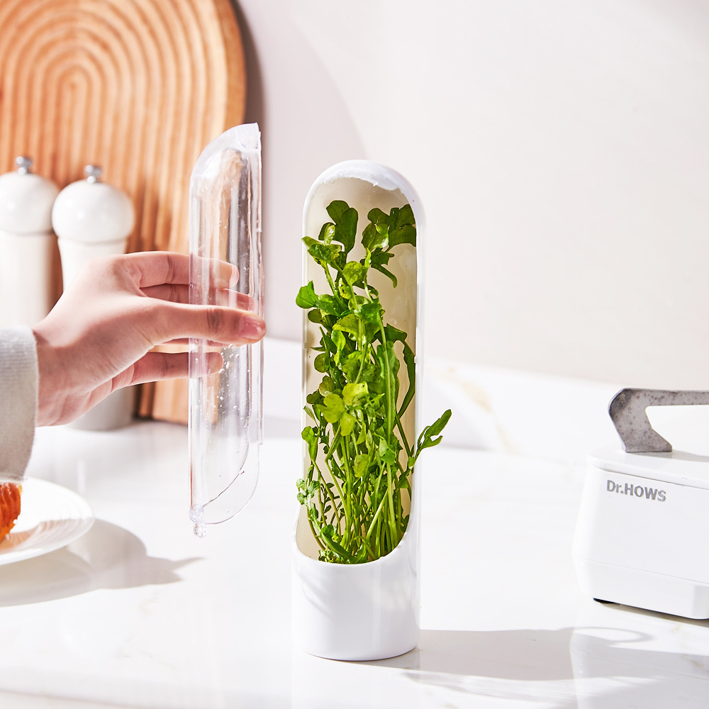 Nuevo estilo transfronterizo caja de conservación de vainilla almacenamiento de verduras taza de conservación de vainilla brotes de bambú de Amazon conservación de bambú ABS