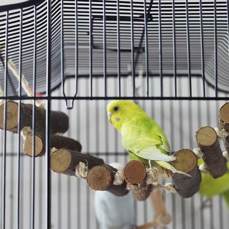 f06eedc0-2431-4a94-9429-c16c47b6d7d4.jpe