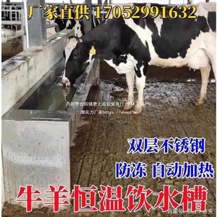 Stainless Steel Drinking Water Trough for Cattle and Sheep, Anti-Freeze, Constant Temperature Breeding Electric Heating Rod Heater, Automatic Freezing in Winter