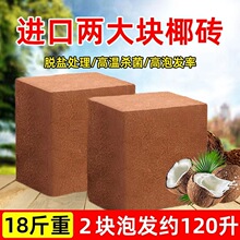 Ҭ�u�I�B����Ҭ����Ҭ����Ҭ���N���B���N�˷Nֲ��KҮ�uֱ�N