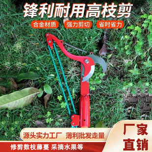 A�羳�@�ּ��������֦����s�߿ռ���֦���֦��޼���֦��֦��
