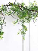 �������~�ٗl����b������ٻ��҃Ƞ����ړ����{ˮ��늾��Gֲ