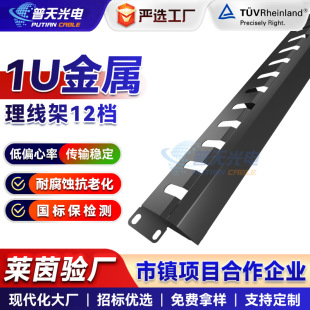 1U Metal Cable Management Rack 12-Port Network Patch Panel Engineering Shielded Cable Rack Network Cable Routing Rack Cable Management Patch Panel